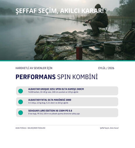 Performans Spin