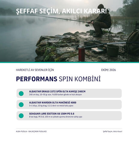 Performans Spin