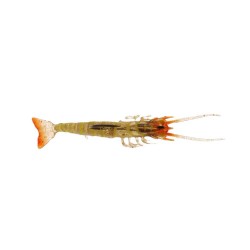 Albastar Gamba Silikon Karides - 14