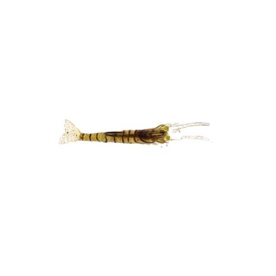 Albastar Gamba Silikon Karides - 22