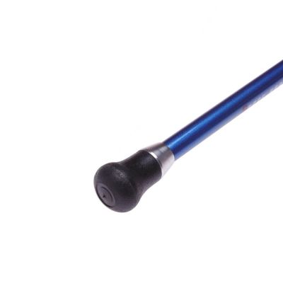 Albastar Golden Boat 3249 Tekne Olta Kamışı - 15