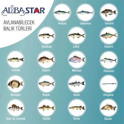 Albastar Tam Takım Göl ve Deniz Olta Seti - 3