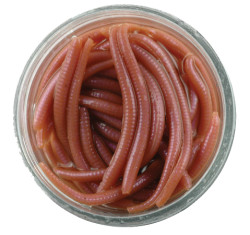 Berkley Gulp Alive Angle Worm Sahte Kurt - Berkley