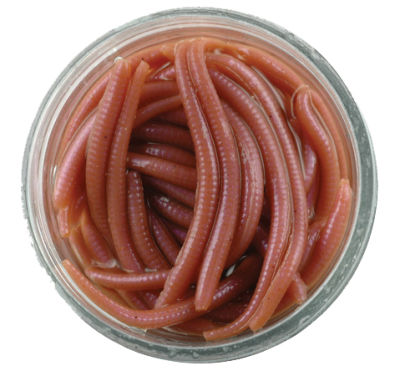 Berkley Gulp Alive Angle Worm Sahte Kurt - 1