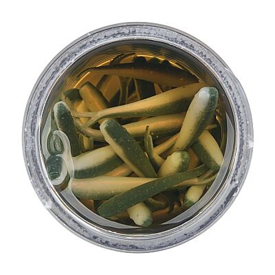 Berkley Gulp Alive Minnow Silikon Sahte Balık - 8