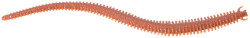 Berkley Gulp Alive Nereis Sahte Kurt - 5