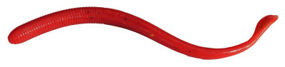 Berkley Gulp Nightcrawler Sahte Kurt - 2
