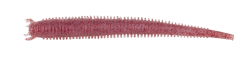 Berkley Gulp Saltwater Fat Sandworm Sahte Kurt - 2