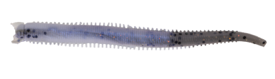 Berkley Gulp Saltwater Fat Sandworm Sahte Kurt - 3
