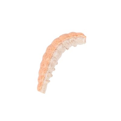 Berkley Powerbait Honey Worms Sahte Kurt - 11