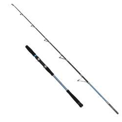 Captain 1429 Canon Boat Tekne Kamışı PE 2-5 10-15Lbs - 2