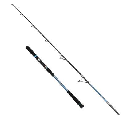 Captain 1429 Canon Boat Tekne Kamışı PE 2-5 10-15Lbs - 2