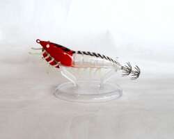 Captain 3019 Kalamar Zokası 12cm 3D Glow Body 12 Size 35 - 3