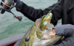 Captain 3069 Jumping Soft 75cm 14gr Levrek Silikonu Suni Yem - 3