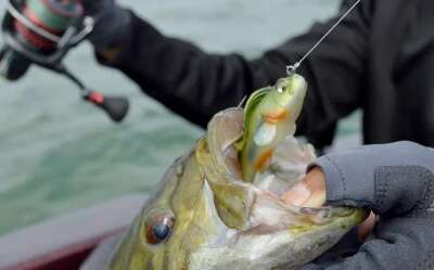 Captain 3069 Jumping Soft 75cm 14gr Levrek Silikonu Suni Yem - 3