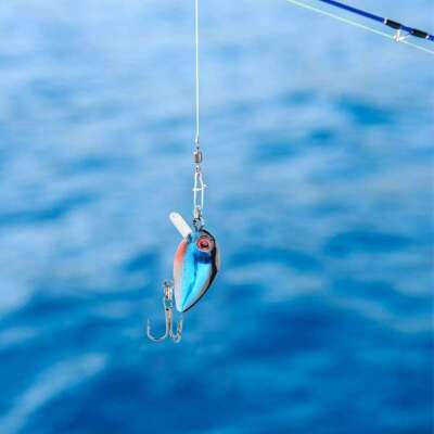 Captain 3397 Lure SET 5cm Floating 10lu Maket Balık Seti - 2