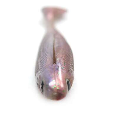 Captain 3587 Dagi Duck Shad 9cm 7gr Levrek Silikonu 5li Paket Suni Yem - 5