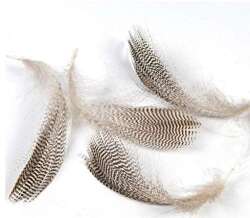 Captain 7634 İthal Çapari Tüyü 5gr Beyaz Tüy - 2