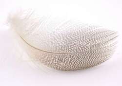 Captain 7634 İthal Çapari Tüyü 5gr Beyaz Tüy - 3