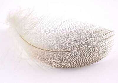 Captain 7634 İthal Çapari Tüyü 5gr Beyaz Tüy - 3