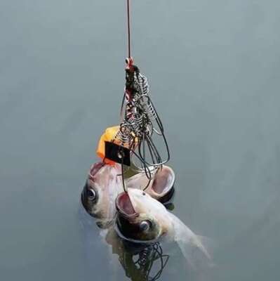 Captain 7688 Balık Kıtkası 25mt 5 Karabinalı Kıtka Seti - 2