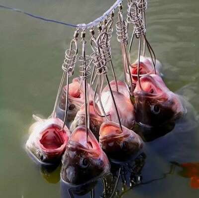 Captain 7688 Balık Kıtkası 25mt 5 Karabinalı Kıtka Seti - 5