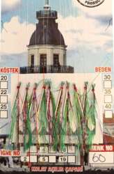 Çinekop Çaparisi UV-GLOW Simli 10 İğneli Kolay Açılan Çapari 025mm Beden x 035mm Köstek - Captain