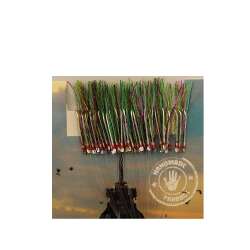 Çinekop Kösteği UV-GLOW Simli Youvella Kartonda 50 İğne 025mm Köstek - Captain