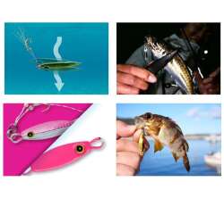 Hayabusa FS 436 Jack Eye Mame Hirarin 3gr LRF Jig Suni Yem - 3