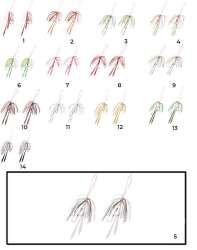 Hayabusa SE 125 Tai Rubber Free Slide Yedek Etekli Assist İğne Set - 9