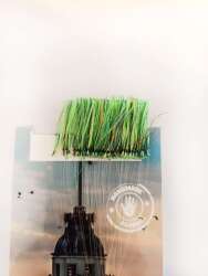 İstavrit Kösteği UV-GLOW Simli Youvella Kartonda 50 İğne 015 mm Köstek - 3