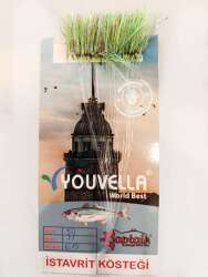 İstavrit Kösteği UV-GLOW Simli Youvella Kartonda 50 İğne 015 mm Köstek - 4