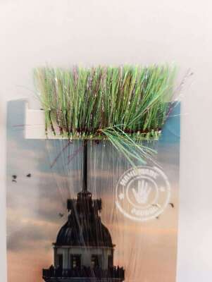 İstavrit Kösteği UV-GLOW Simli Youvella Kartonda 50 İğne 015 mm Köstek - 9