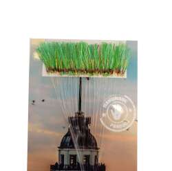 İstavrit Kösteği UV-GLOW Simli Youvella Kartonda 50 Sarı İğne 015mm Köstek - 3