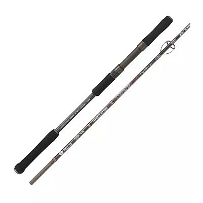 Kali Kunnan Tritonis Jig Olta Kamışı - 2