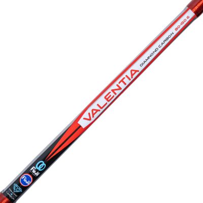 Kali Kunnan Valentia Olta Kamışı - 6