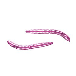 Libra Lures Fatty D’Worm Suni Yem - 6