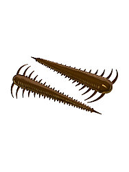 Libra Lures Slayzur Suni Yem - Libra Lures