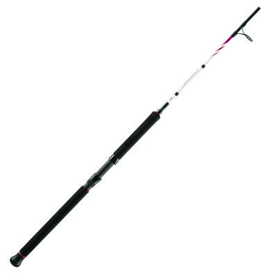 Penn Squadron II Jig Olta Kamışı - 1