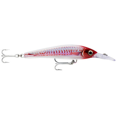 Rapala X-Rap Magnum Xtreme Sahte Balığı - 3