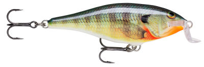 Rapala Shallow Shad Rap Sahte Balığı