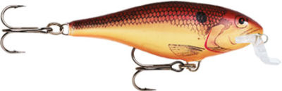 Rapala Shallow Shad Rap Sahte Balığı - 11