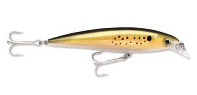 Rapala X-Rap Saltwater Sahte Balığı