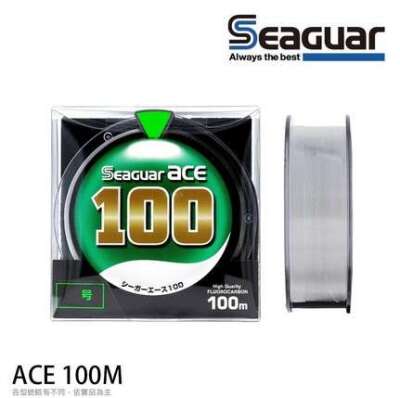 Seaguar Ace %100 Fluoro Carbon Misina 100mt - 2
