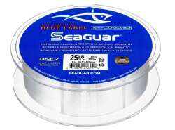 Seaguar Blue Label %100 Fluoro Carbon Misina 25mt - 2